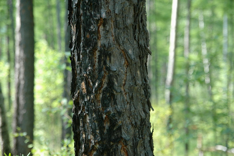 东莞首批20家平价药店四成在欠发达镇村-开云电竞中国