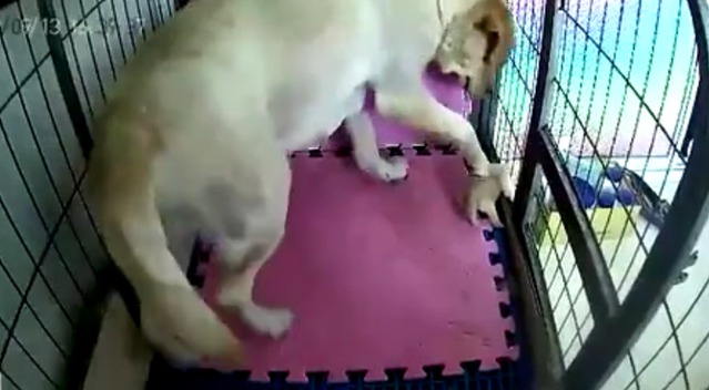 周海媚与工作室成员韩国开心自拍：开云电竞