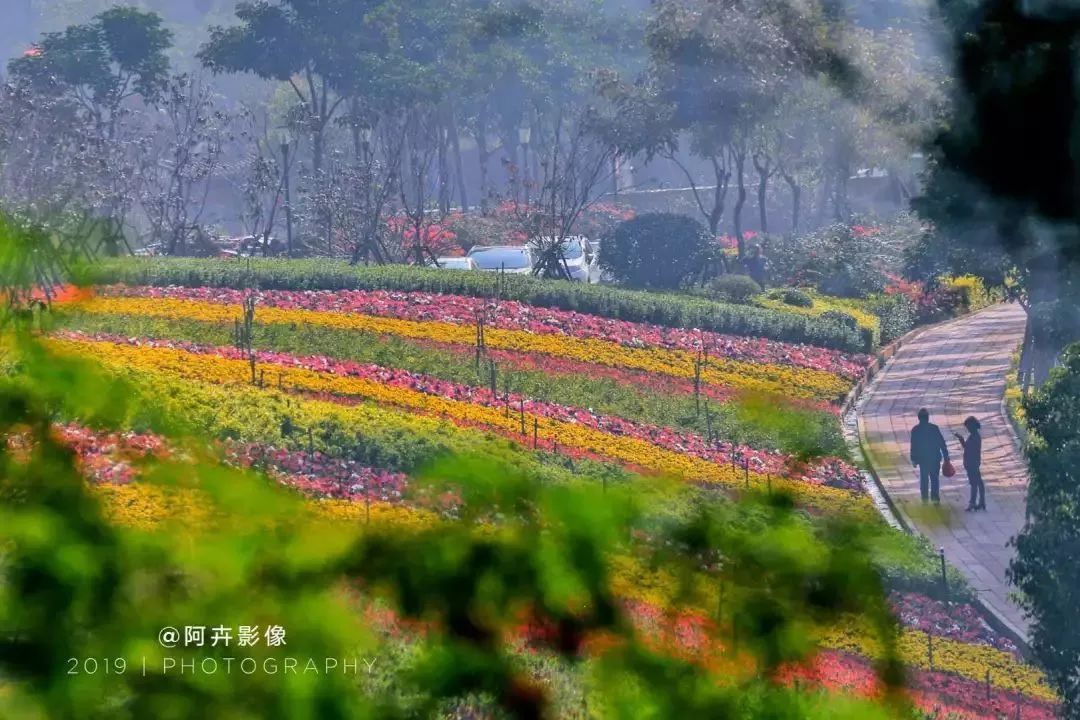 梁洛施多伦多买平价衣 网友赞：好瘦好漂亮‘开云电竞中国’