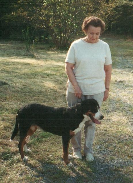 【开云电竞中国】世卫表示埃博拉相关疫苗年底前或可大量供应(图2) 开云电竞官方网站