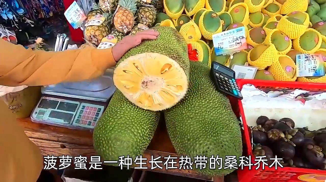 开云电竞官方网站