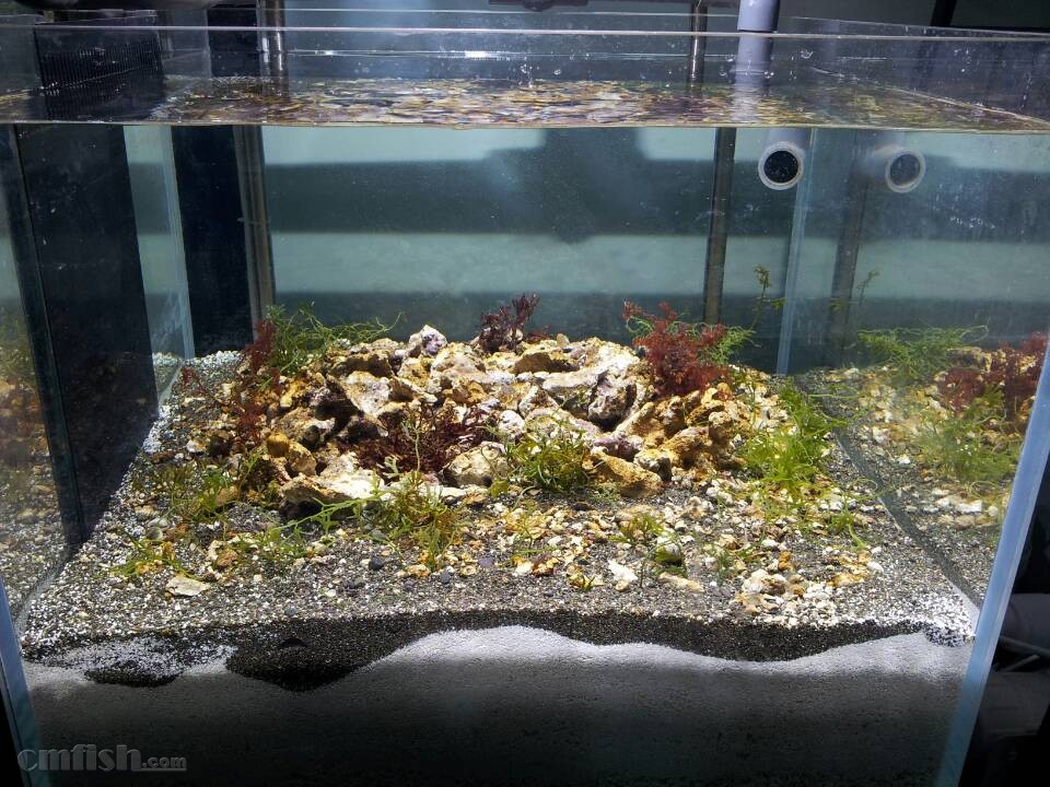 陈伟霆携纪焕博亮相新片上海发布会 西装劲舞嗨爆全场：开云电竞