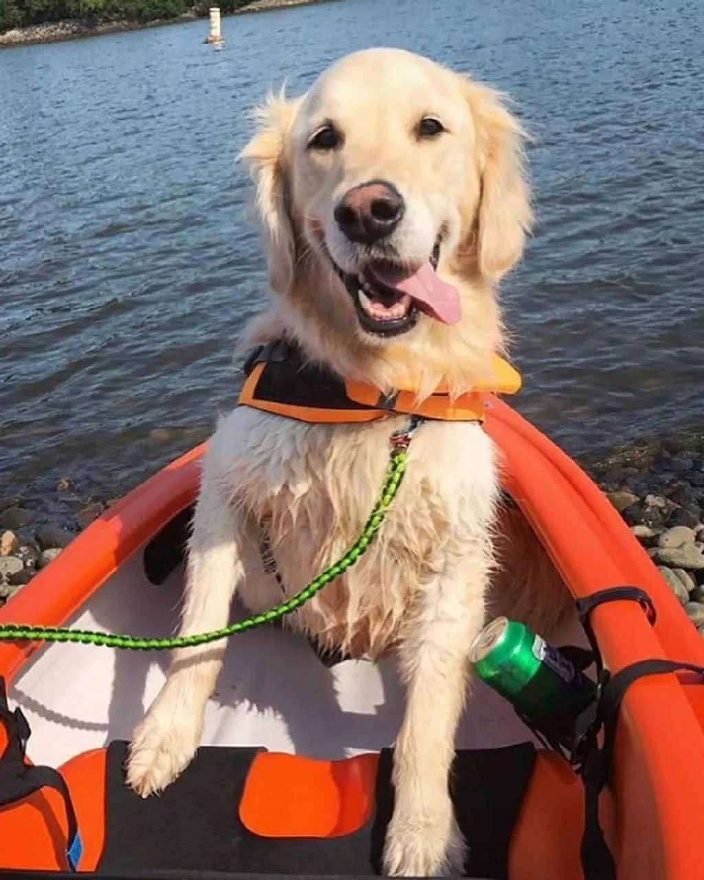 车厘子是樱桃吗？两者有什么区别‘开云电竞中国’