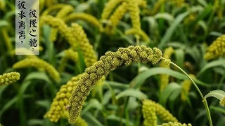 开云电竞官方网站