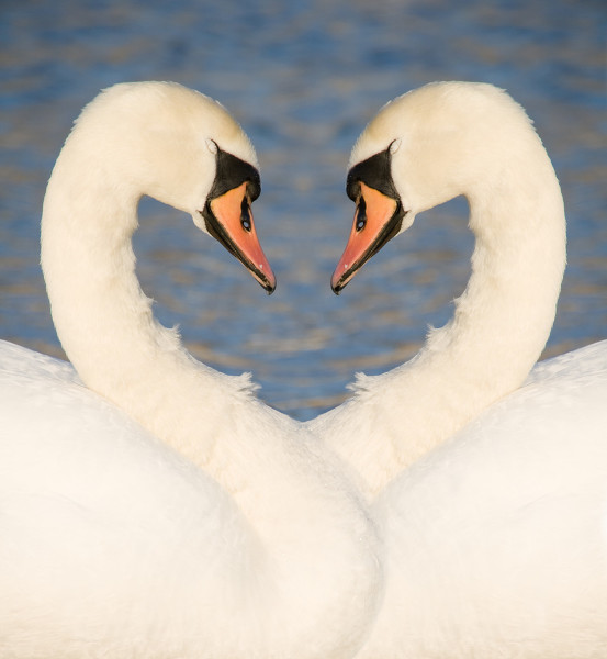 开云电竞官方网站_两男子喝酒一人借机咬掉对方舌头(图2) 开云电竞