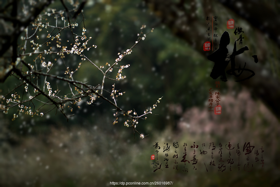 林峰感情受“床照门”影响：确实有点不敢爱：开云电竞