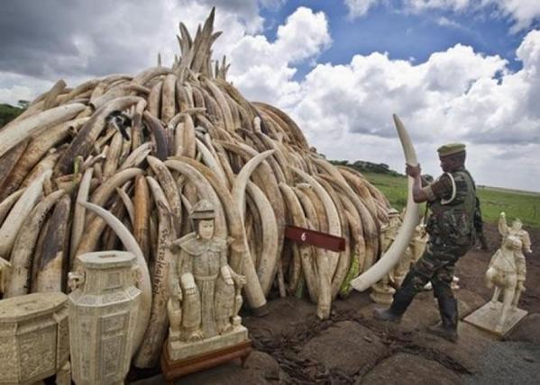 拜仁出售拉菲尼亚？图片报：取决于能否有替代者“开云电竞中国”