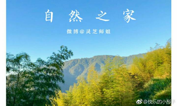 开云电竞中国