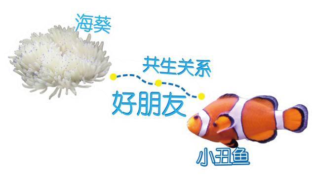 开云电竞官方网站-索圣警告曼联队员:忘掉逆转巴黎!再不玩命就走人(图3) 开云电竞中国